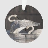 Zwemens Ornament (voorkant)