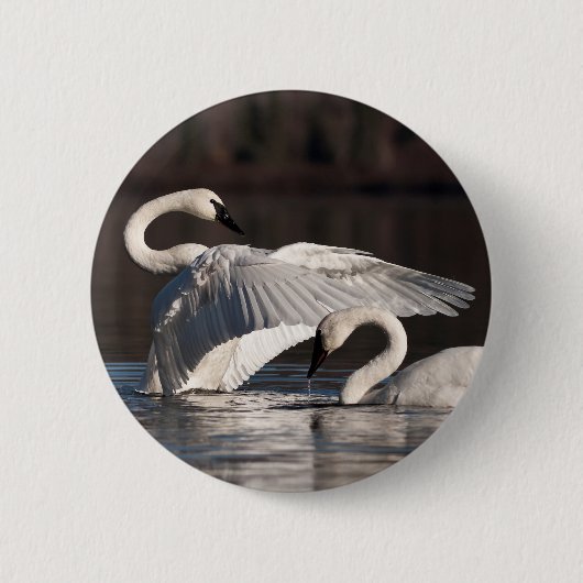 Zwemens Ronde Button 5,7 Cm (Voorkant)
