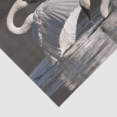 Zwemens Tissuepapier (Detail)