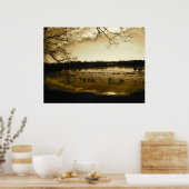 Zwemfoto Poster (Keuken)