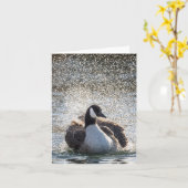 Zwemgans Natuur Foto Kaart (Gele Bloem)