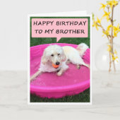 ZWEMHOND HOUDT VAN VERJAARDAG BROER/BESTE VRIEND KAART (Gele Bloem)