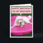 ZWEMHOND HOUDT VAN VERJAARDAG BROER/BESTE VRIEND KAART<br><div class="desc">DEZE ZWEMHOND HOUDT VAN ZIJN / HAAR "BROER" EN ZEGT DAT HIJ ZIJN "BESTE VRIEND" IS OP ZIJN VERJAARDAG!</div>