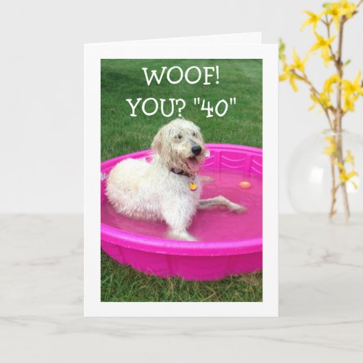 ZWEMHOND ZEGT DAT GELUKKIGE "JIJ" 40 IS EN NIET HI KAART (Gele Bloem)