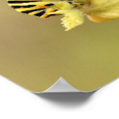 Zwemijlstaart Poster (Hoek)