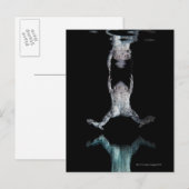 Zwemkikker Briefkaart (Voorkant / Achterkant)