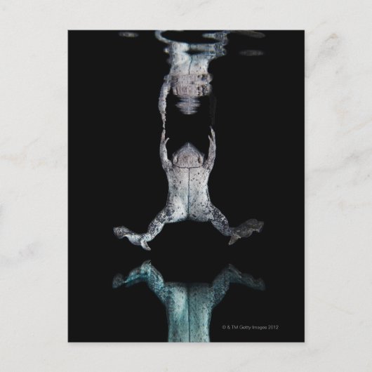 Zwemkikker Briefkaart (Voorkant)