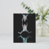 Zwemkikker Briefkaart (Staand voorkant)