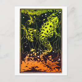 Zwemkikker van Julie de Graag  kunst Briefkaart