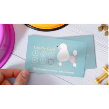 Zwemkleding voor gezelschapsdieren Zwemmen en Groo