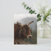 Zwemkoe Briefkaart (Staand voorkant)