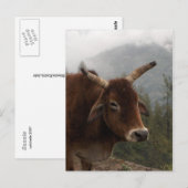 Zwemkoe Briefkaart (Voorkant / Achterkant)