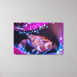 Zwemkrab (Lissocarcinus laevis Miers, 1886 ) Canvas Afdruk