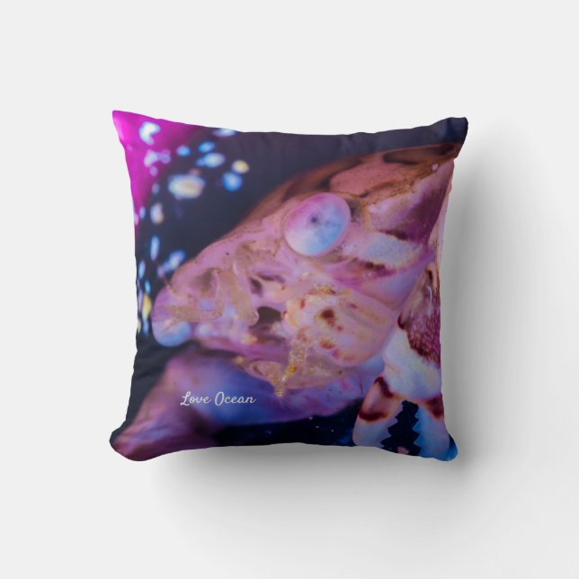 Zwemkrab (Lissocarcinus laevis Miers, 1886 ) Kussen (Voorkant)