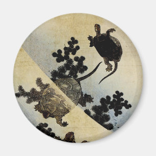 Zwemkrachtmachines Magneet