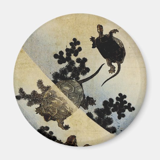 Zwemkrachtmachines Magneet (Voorkant)