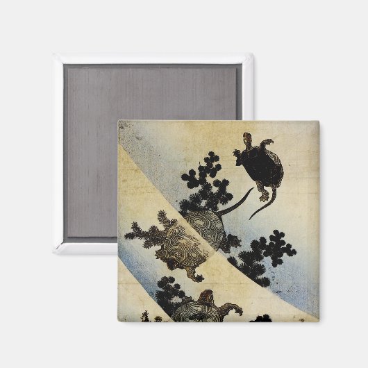 Zwemkrachtmachines Magneet (Voorkant / Achterkant)