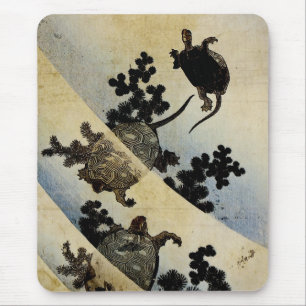 Zwemkrachtmachines Muismat