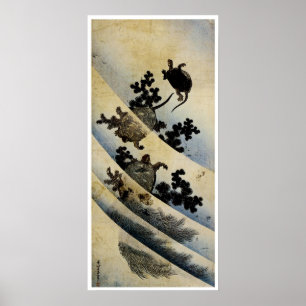 Zwemkrachtmachines Poster