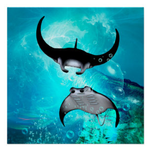 Zwemmantarroggen Poster