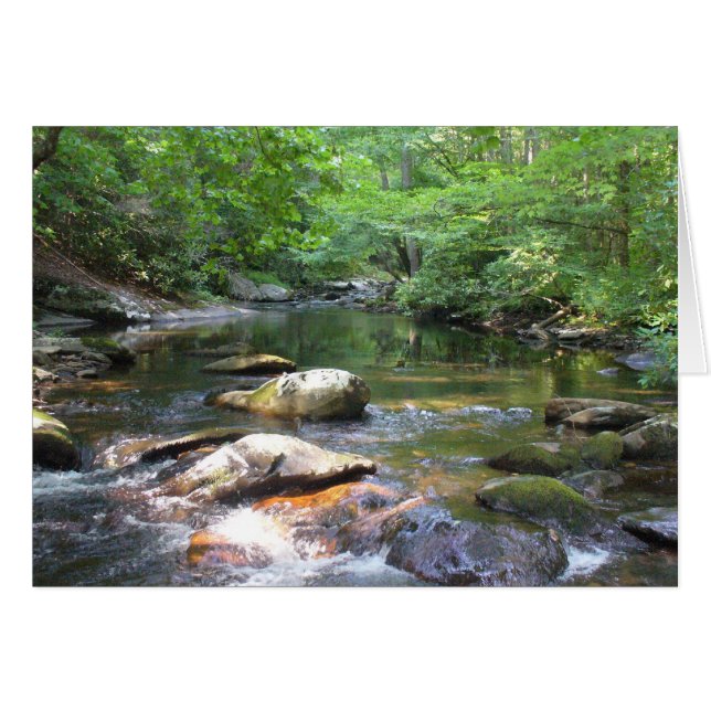 Zwemmen 032 (Voorkant Horizontaal)