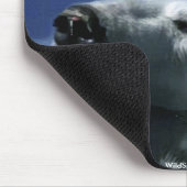 Zwemmen Arctic Polar Beer & Aurora Muismat (Hoek)