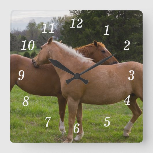 Zwemmen Beauties Wandklok (Voorkant)