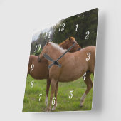 Zwemmen Beauties Wandklok (Hoek)