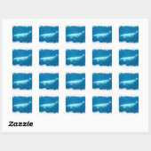 Zwemmen Beluga Whales Sticker (Vel)