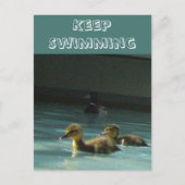 Zwemmen Briefkaart (Voorkant)