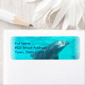 Zwemmen Dolfijn retour adres label (Insitu)