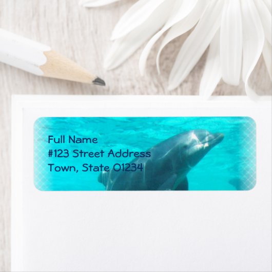 Zwemmen Dolfijn retour adres label (Insitu)
