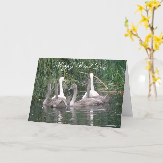 Zwemmen en Cygnets Aangepaste Birthday-kaart Kaart (Gele Bloem)