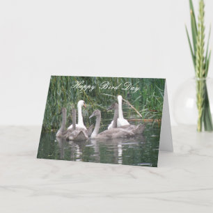 Zwemmen en Cygnets Aangepaste Birthday-kaart Kaart