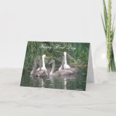 Zwemmen en Cygnets Aangepaste Birthday-kaart Kaart (Voorkant)
