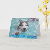 Zwemmen husky foto verjaardagskaart kaart (Gele Bloem)