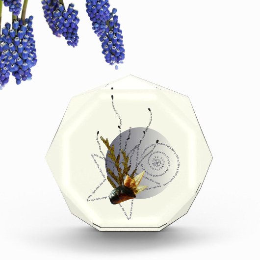 Zwemmen in 2 zwangerschapsgedicht moderne ster aan fotoblokken