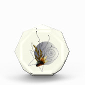 Zwemmen in 2 zwangerschapsgedicht moderne ster aan fotoblokken (Voorkant)