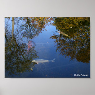 Zwemmen in de lucht poster