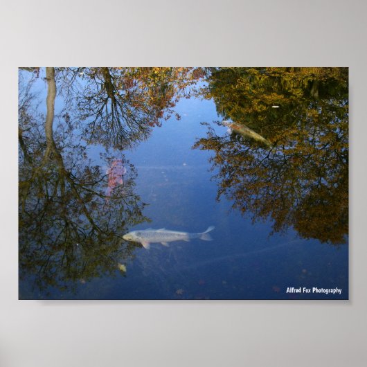 Zwemmen in de lucht poster (Voorkant)