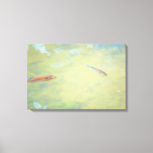 Zwemmen in de zon canvas afdruk (Voorkant)