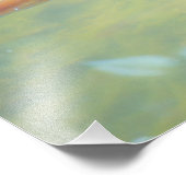 Zwemmen in de zon foto afdruk (Hoek)