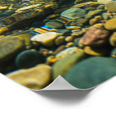 Zwemmen in een heldere stroom poster (Hoek)