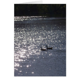 Zwemmen in het licht