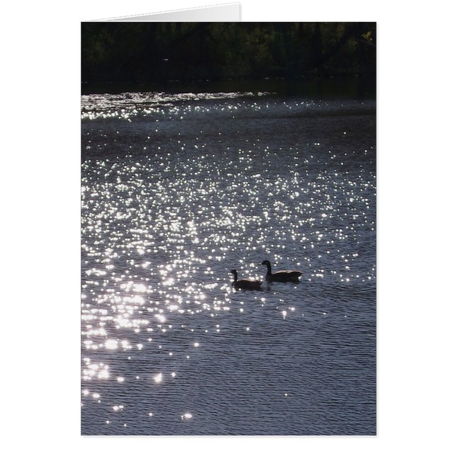 Zwemmen in het licht (Voorkant)