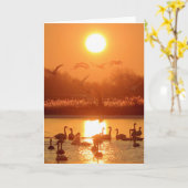 Zwemmen in het meer bij Sunset Kaart (Gele Bloem)