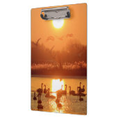 Zwemmen in het meer bij Sunset Klembord (Links)