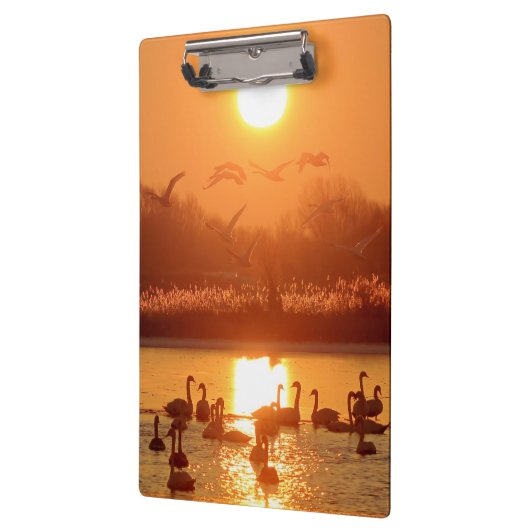 Zwemmen in het meer bij Sunset Klembord (Links)