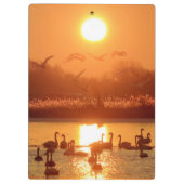 Zwemmen in het meer bij Sunset Klembord (Achterkant)