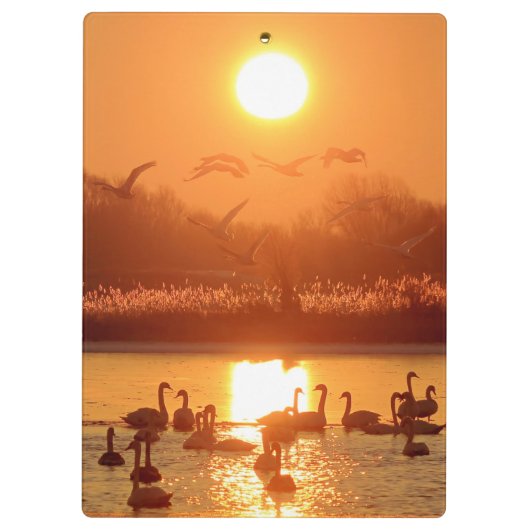 Zwemmen in het meer bij Sunset Klembord (Achterkant)